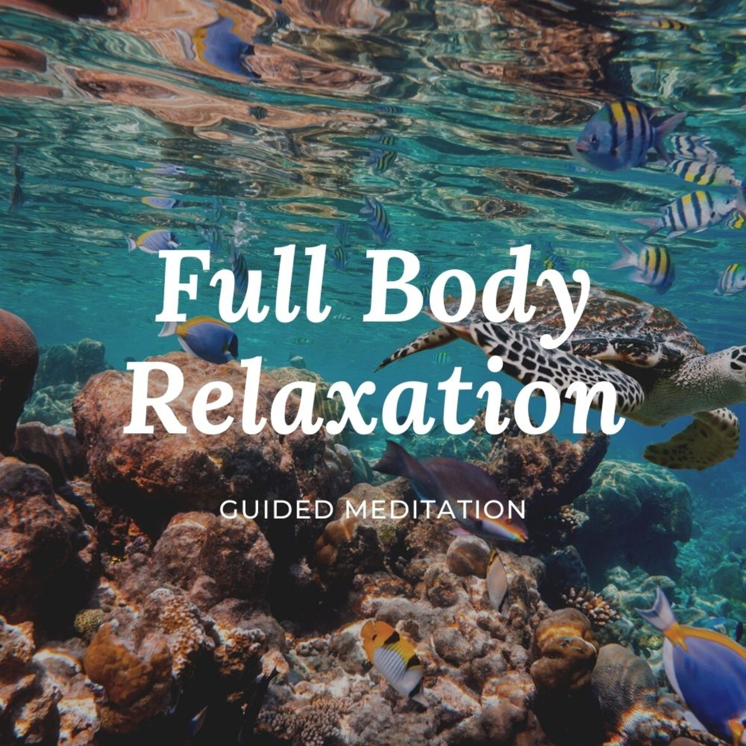 1 – Full Body Relaxation ✨15 Minute Guided Meditation For Relaxation